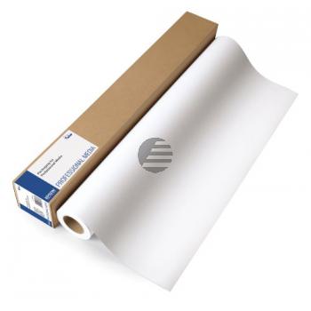 Epson Enhanced Matte Paper Roll 17 X30,5m weiß (C13S041725) Epson Enhanced Matte Paper Roll 17 X30,5m weiß (C13S041725)