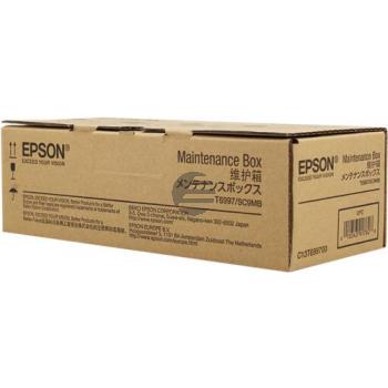 Epson Resttintenbehälter (C13T699700, T6997)