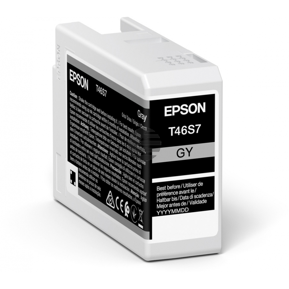 Epson Tintenpatrone grau (C13T46S700, T46S7)