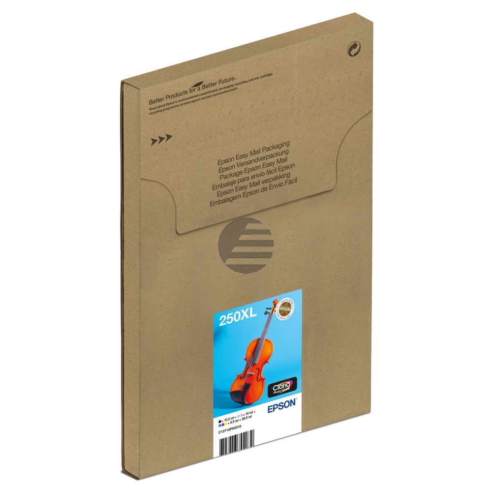 Epson Tintenpatrone gelb, cyan light, magenta light, magenta, schwarz, cyan HC (C13T16P84510, 250XL)