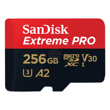 SANDISK ExtremePro Micro SDXC 256GB 130672 SDSQXCZ-256G-GN6MA 170MBs