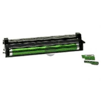 Tally Fotoleitertrommel (392078) Tally Fotoleitertrommel (392078)