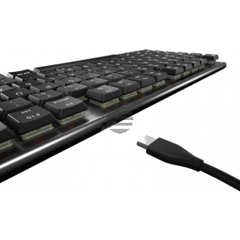 CHERRY MX 10.0N RGB Keyboard Corded Mechanical (DE)