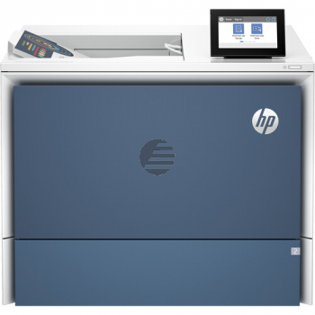 HP Color LaserJet Enterprise 6700 DN Drucker (6QN33A#B19)