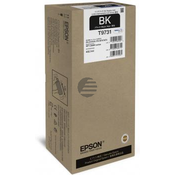 Epson Tintenpatrone schwarz (C13T97310N, T9731)