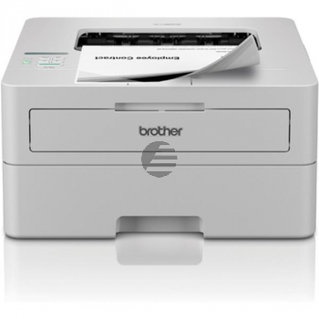 Brother HL-L 2865 DW (HLL2865DWRE1) Brother HL-L 2865 DW (HLL2865DWRE1)