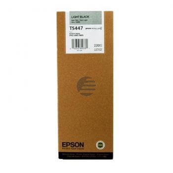 Epson Tintenpatrone schwarz light HC (C13T544700, T5447)