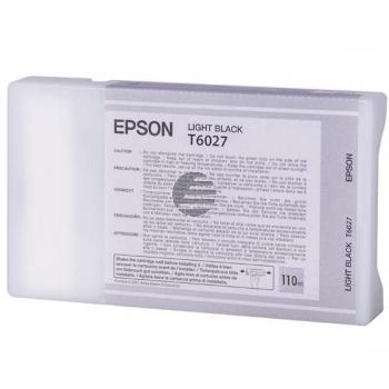 Epson Tintenpatrone schwarz light (C13T602700, T6027)