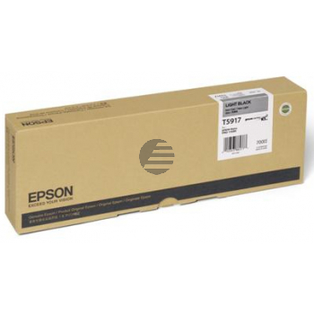 Epson Tintenpatrone schwarz light (C13T591700, T5917)