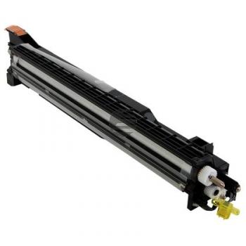Ricoh Entwickler magenta (D8093003) Ricoh Entwickler magenta (D8093003)