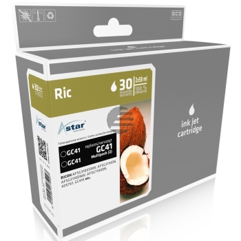 Astar Gel-Kartusche 2 x schwarz HC (AS46141) ersetzt GC-41K Astar Gel-Kartusche 2 x schwarz HC (AS46141) ersetzt GC-41K