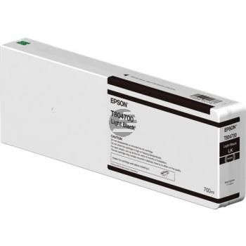 Epson Tintenpatrone schwarz light HC (C13T804700, T8047)